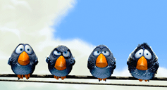 4 birds