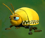 head12-cc.gif