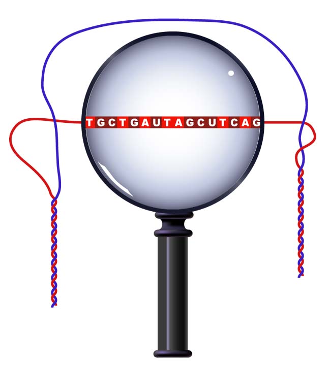 fig3.7.jpg