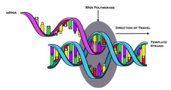 fig6.4_s.jpg