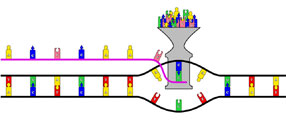 fig7.6_s.jpg
