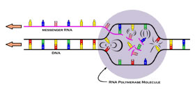 fig7.7_s.jpg