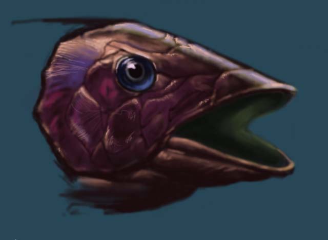 fish.jpg