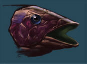 fish1_s.jpg