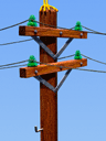 telephone pole